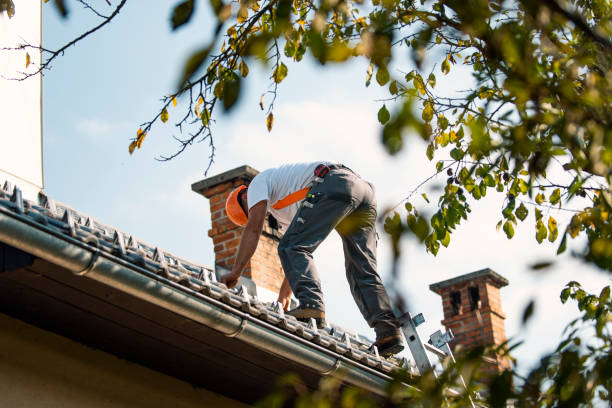 Best Roof Leak Repair  in Sumas, WA