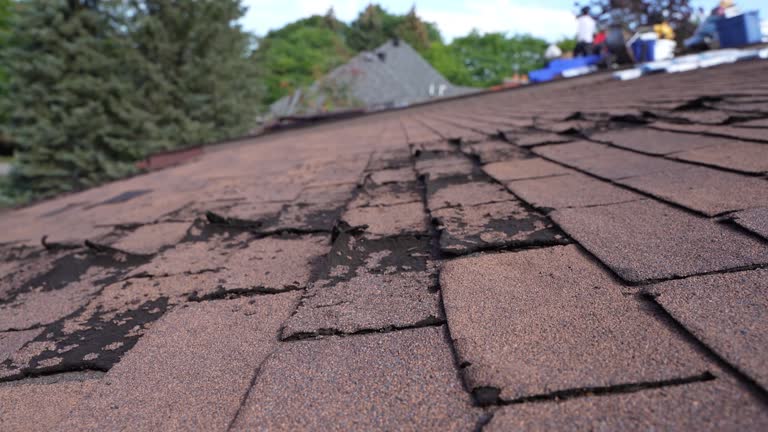 Best Gutter Installation and Repair  in Sumas, WA