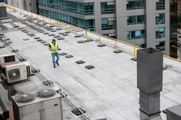 Best Roof Moss and Algae Removal  in Sumas, WA