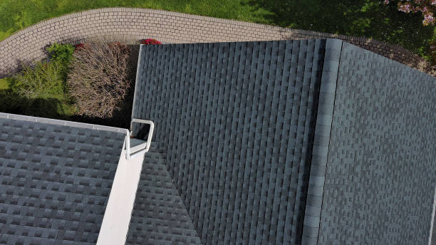 Best Roof Maintenance and Cleaning  in Sumas, WA