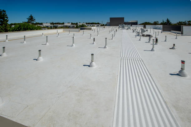 Best Roof Waterproofing  in Sumas, WA